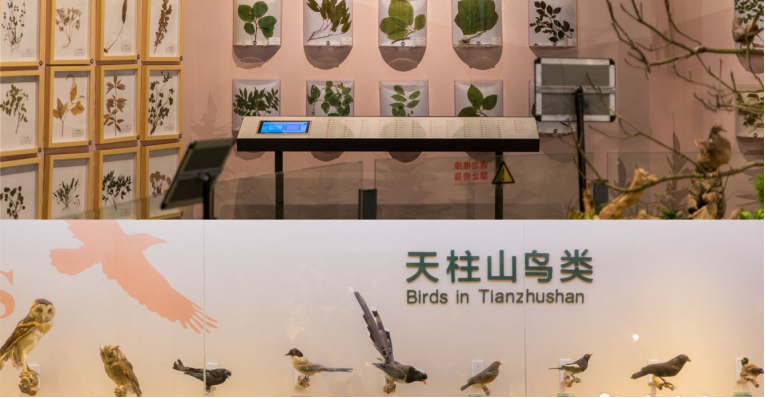 天柱山地質公園博物館線上活動286.png